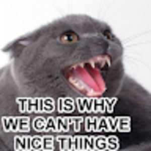 Meet your Posher, Calvin